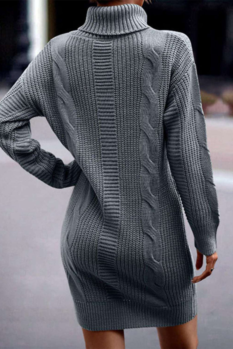 Kaynafashions - Casual Solid Make Old Turtleneck Long Sleeve Dresses