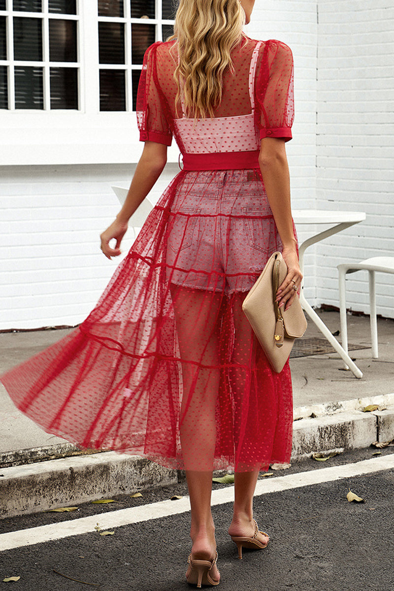 Kaynafashions - Sexy Simplicity Solid See-through Mesh Turndown Collar A Line Dresses(4 Colors)