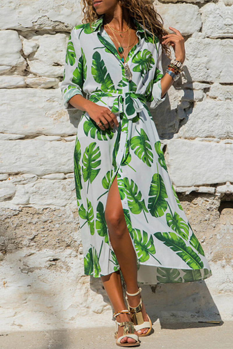 Kaynafashions - British Style Elegant Print Printing Turndown Collar A Line Dresses(4 Colors)