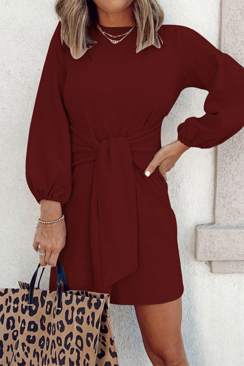 Kaynafashions - Casual Simplicity Solid O Neck Long Sleeve Dresses