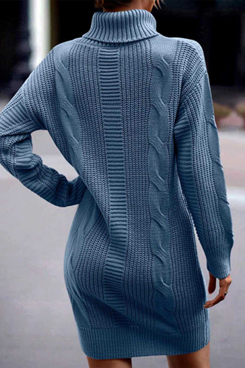 Kaynafashions - Casual Solid Make Old Turtleneck Long Sleeve Dresses