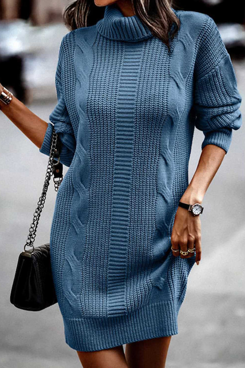 Kaynafashions - Casual Solid Make Old Turtleneck Long Sleeve Dresses