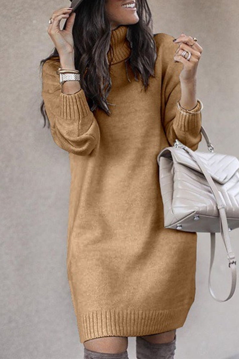 Kaynafashions - Casual Solid Color Turtleneck Sweaters(6 Colors)
