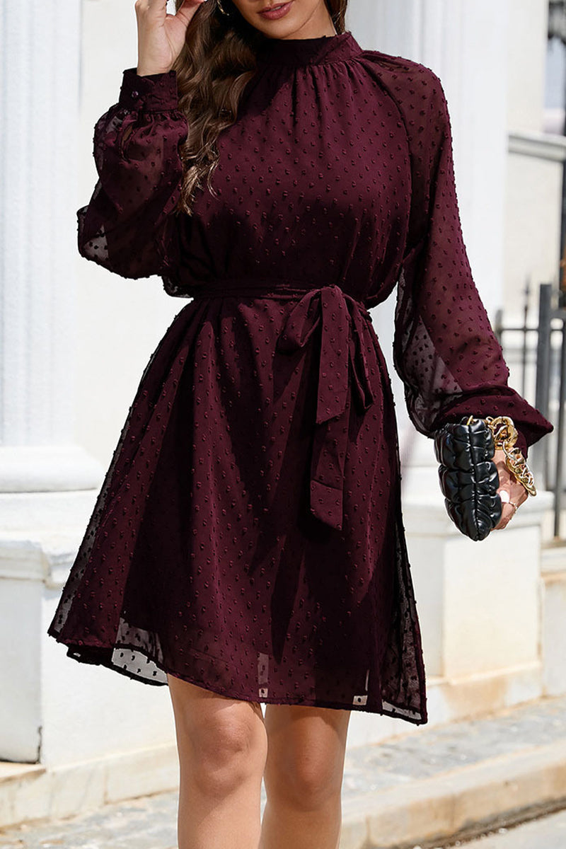 Kaynafashions - Elegant Solid Frenulum Turtleneck A Line Dresses