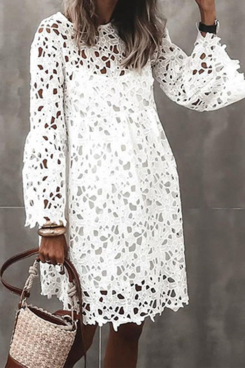 Kaynafashions - Fashion Solid Lace O Neck Lace Dress Dresses