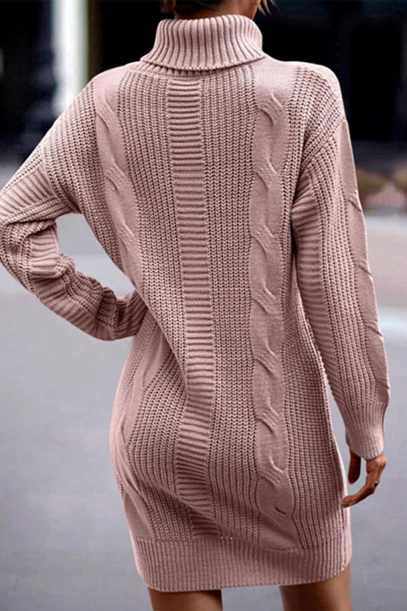 Kaynafashions - Casual Solid Make Old Turtleneck Long Sleeve Dresses
