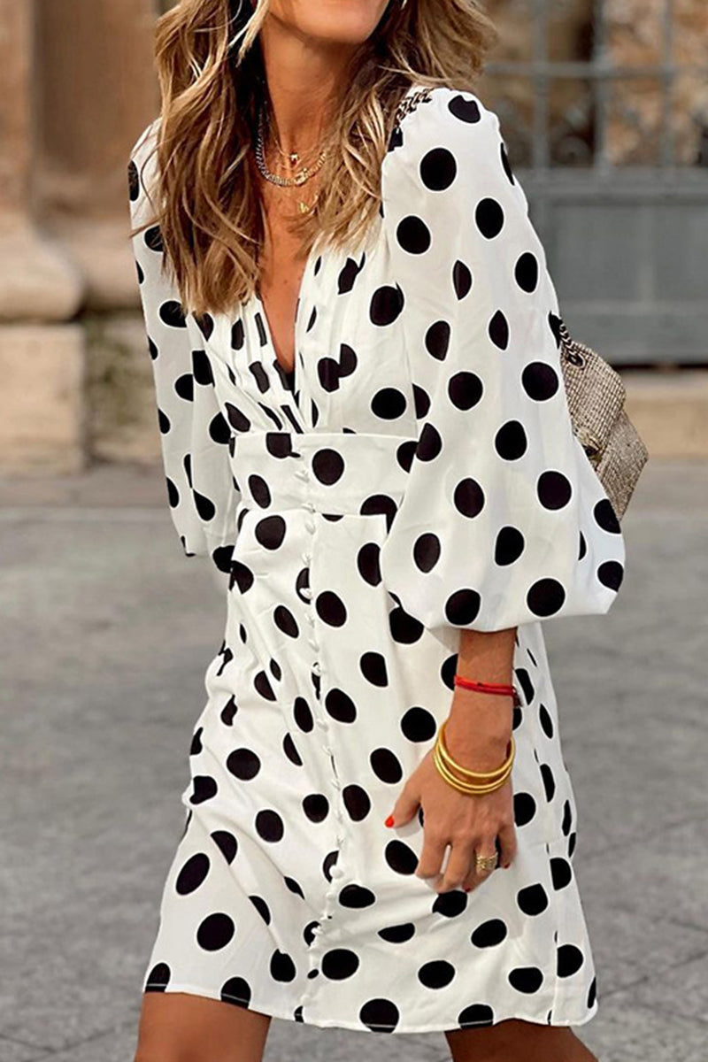 Kaynafashions - Elegant Polka Dot Patchwork V Neck A Line Dresses