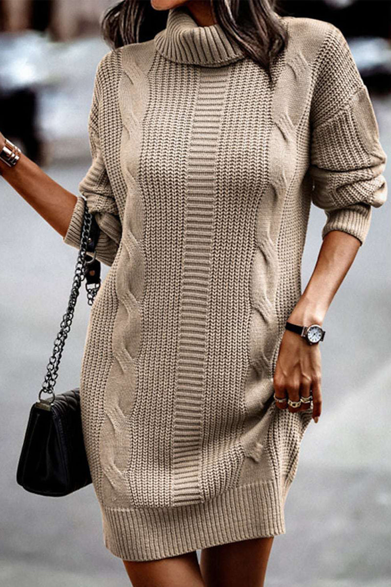 Kaynafashions - Casual Solid Make Old Turtleneck Long Sleeve Dresses