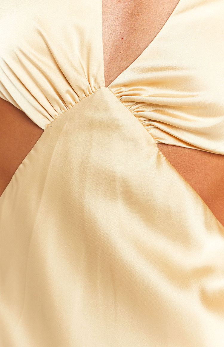 Orchid Champagne Maxi Dress