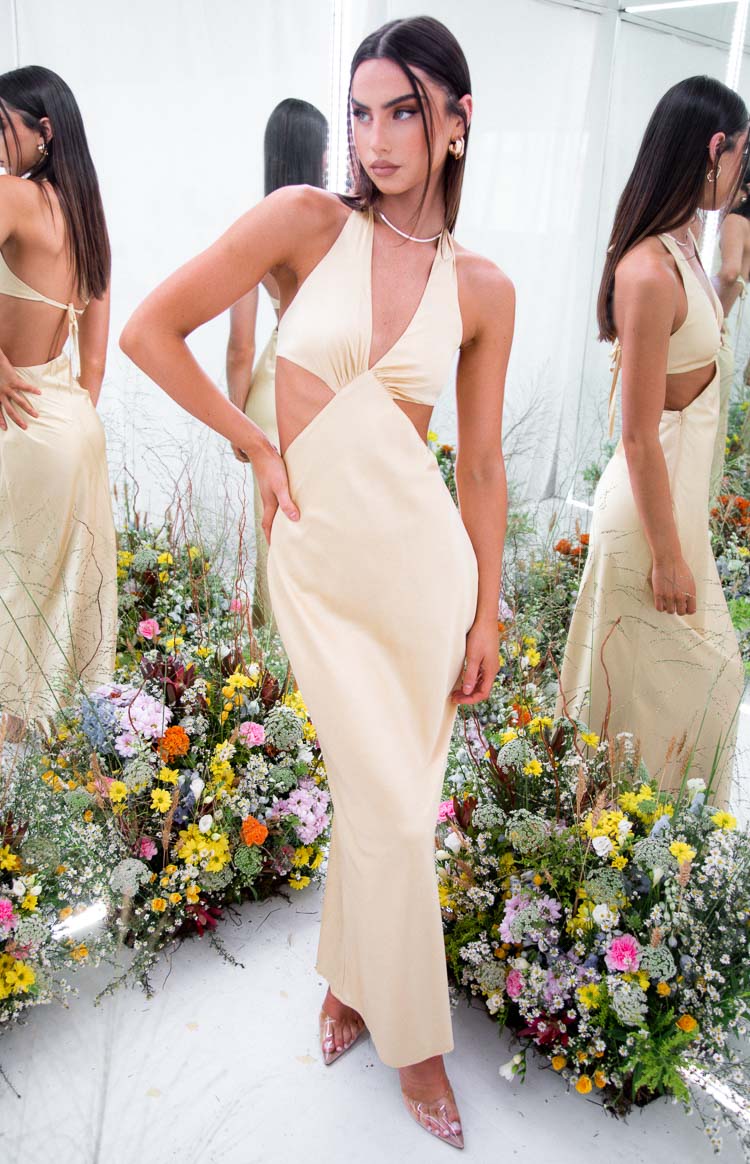 Orchid Champagne Maxi Dress
