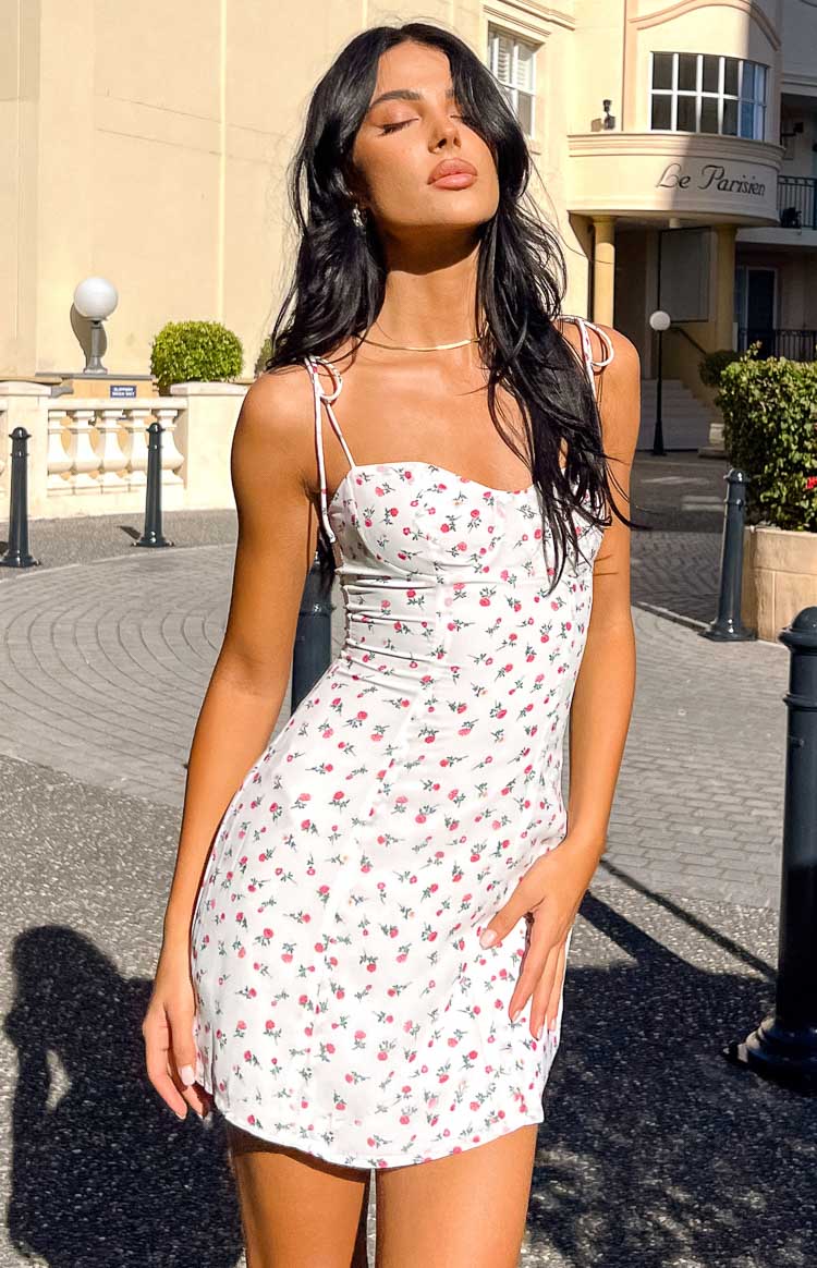 Penny Lane Pink Roses Mini Dress