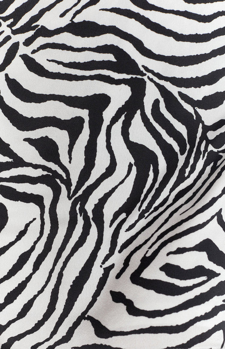 Sylvester Mini Dress Zebra