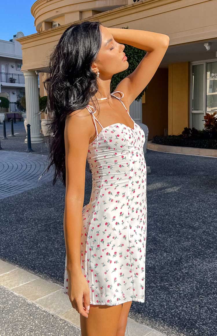 Penny Lane Pink Roses Mini Dress