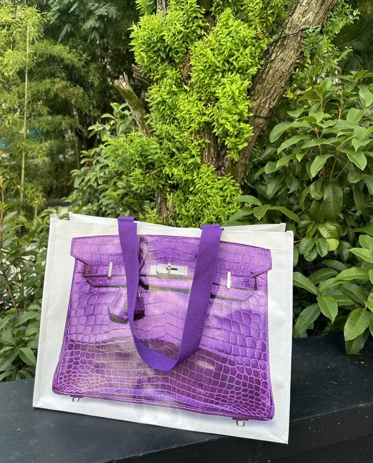 INS blogger parody creative grocery bags platinum bag remake the major bloggers with the fitness lelsure bag - luluinthesky