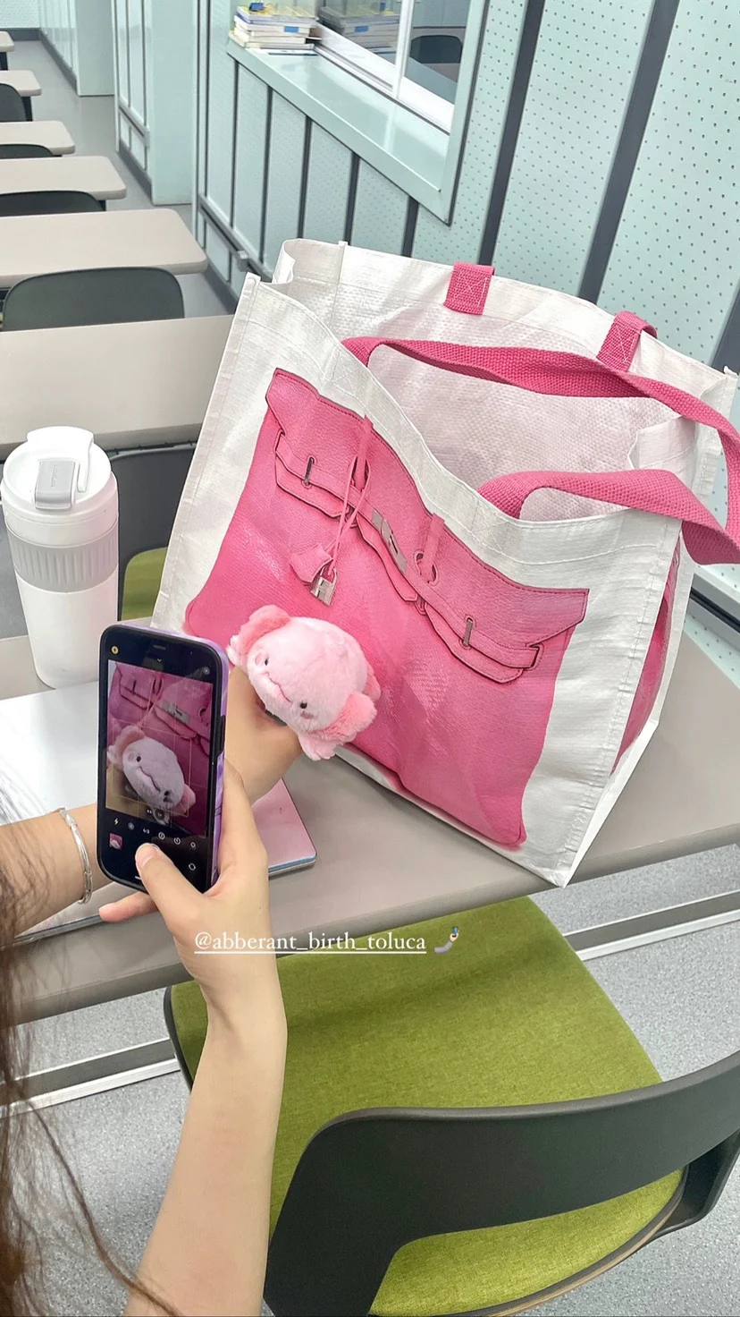 Grocery Bags Creative Parody Platinum Bag Print Woven Bag Fire Over The Net Birkin Fitness Casual Bag - luluinthesky