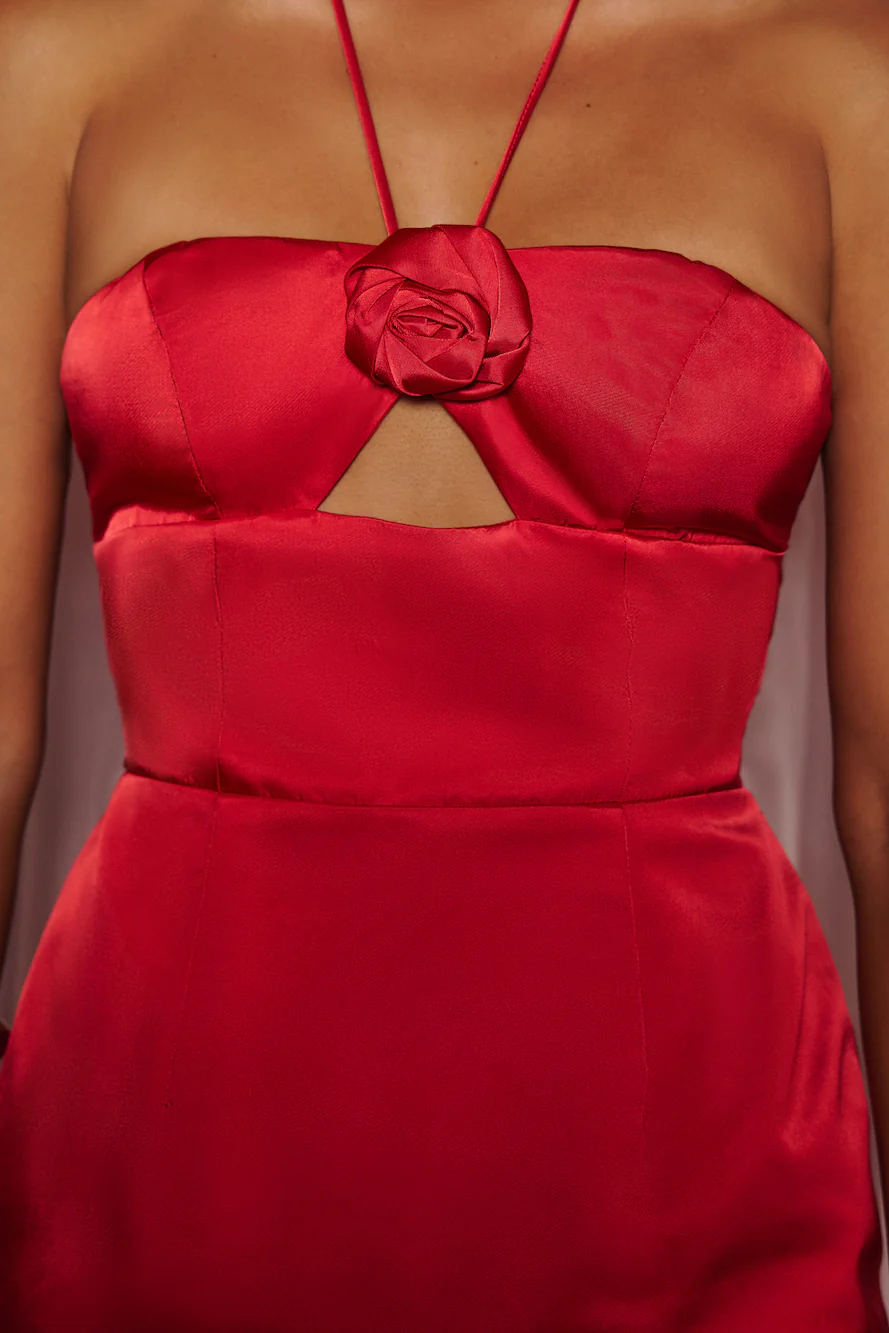Admired With Roses Halter Satin Mini Dress Red - luluinthesky