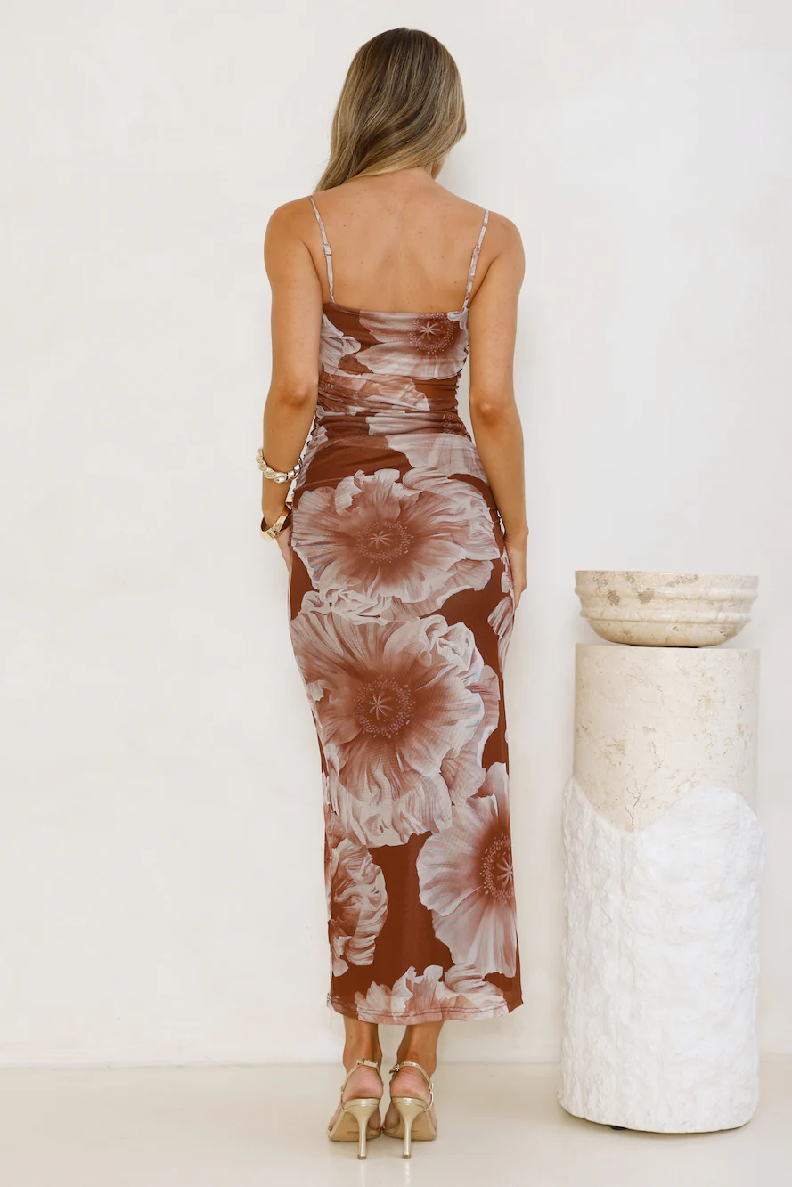 Palm Princess Mesh Maxi Dress Brown - luluinthesky