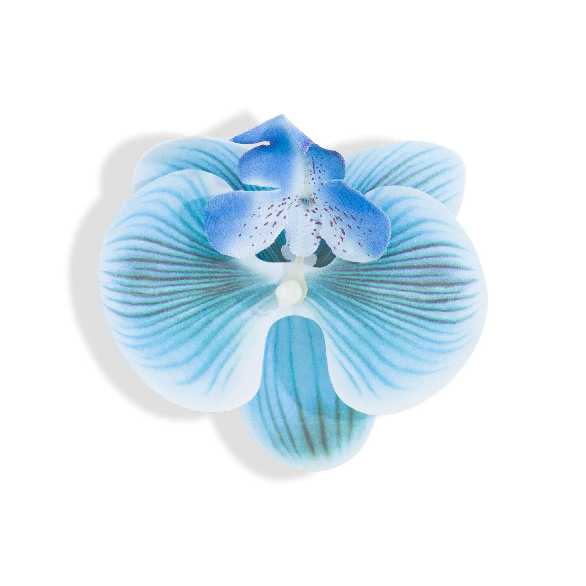 ORCHID FLOWER BLUE - luluinthesky