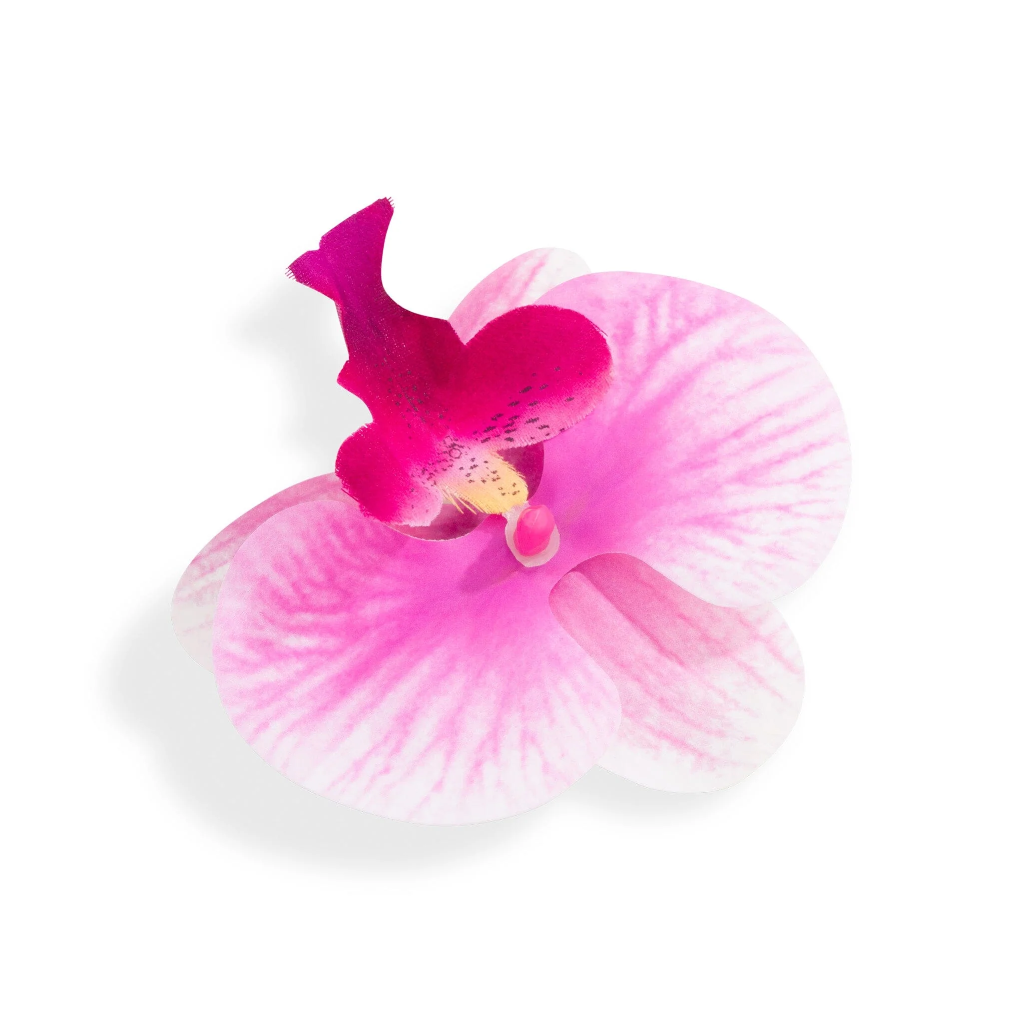 ORCHID FLOWER PINK - luluinthesky