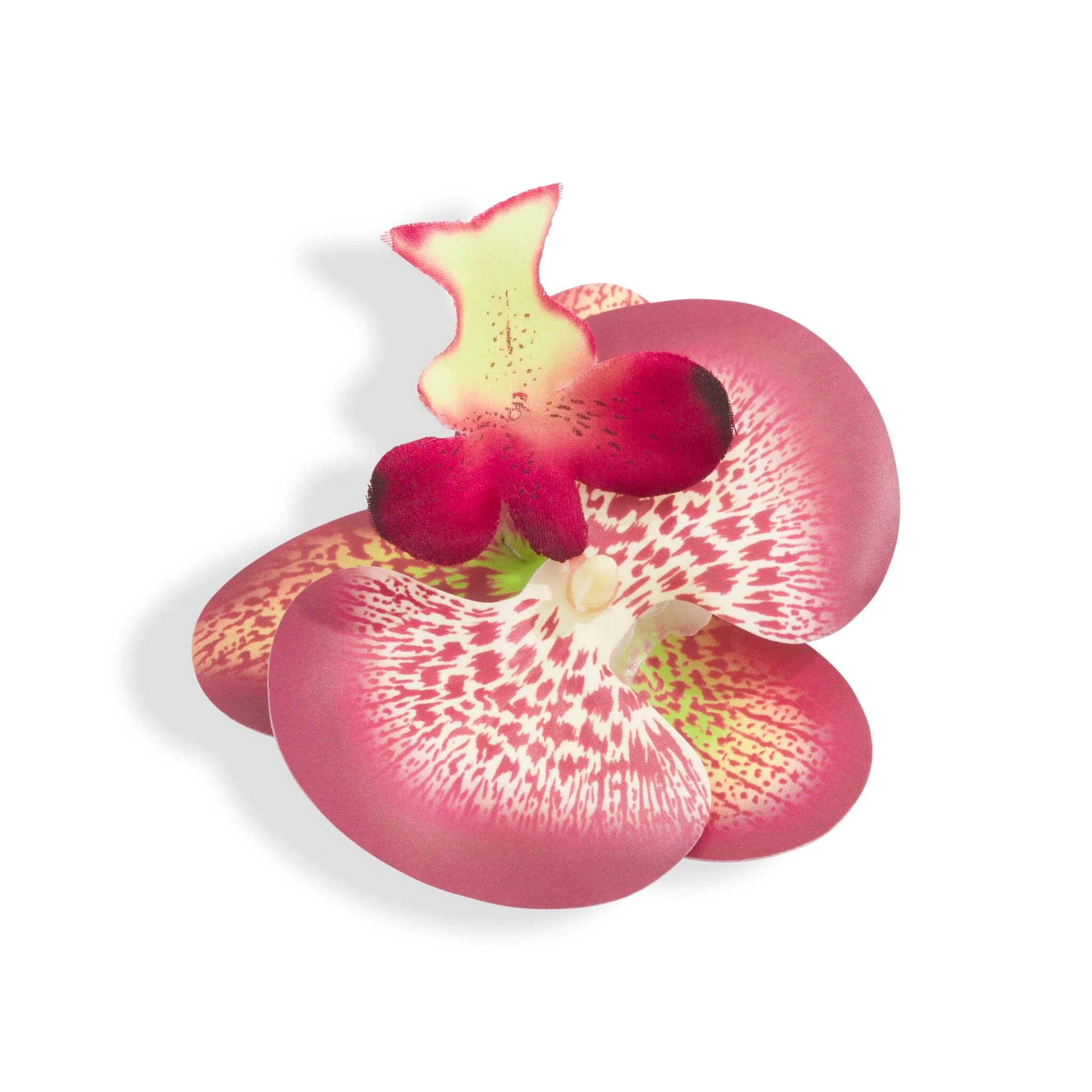 ORCHID FLOWER BURGUNDY - luluinthesky