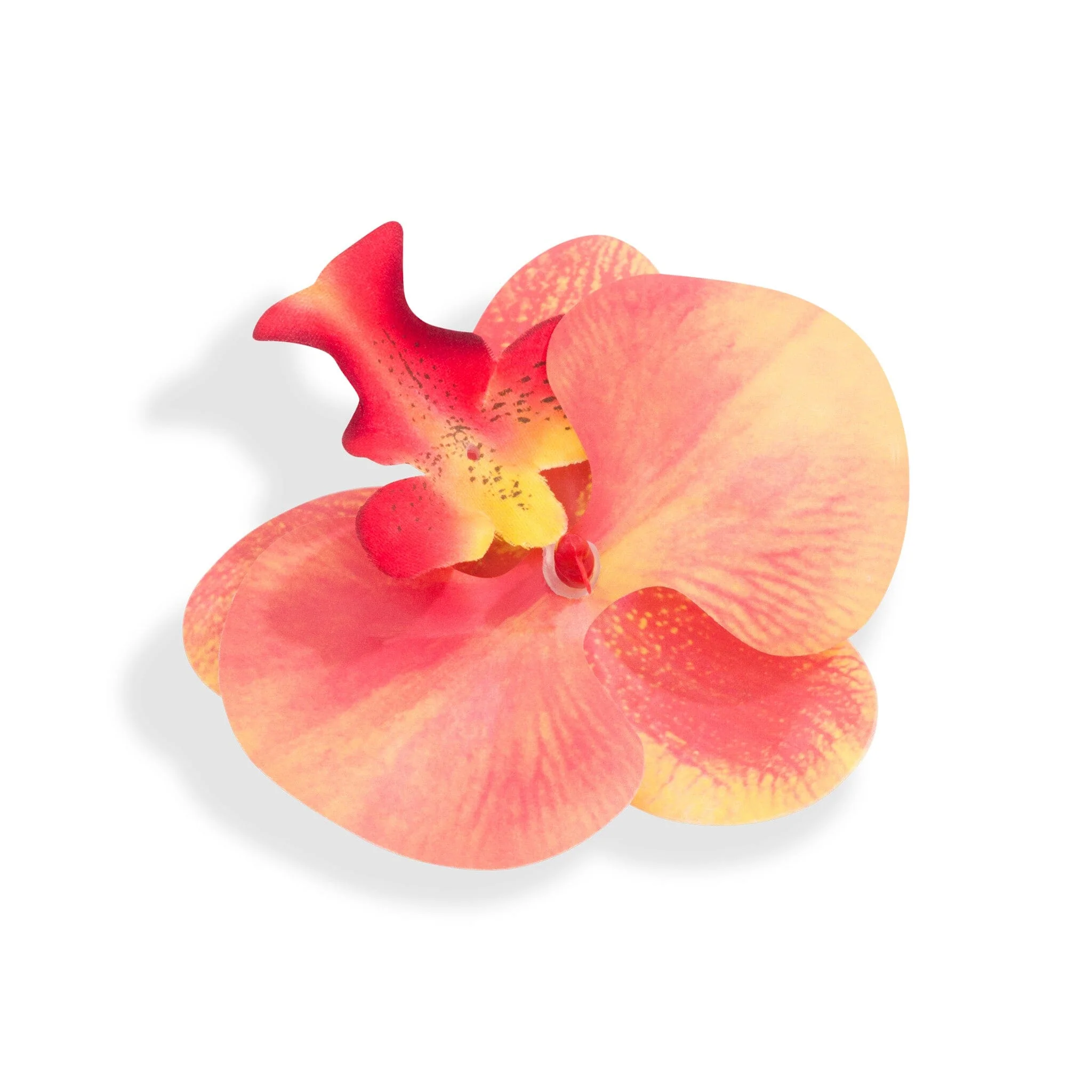 ORCHID FLOWER PEACH - luluinthesky