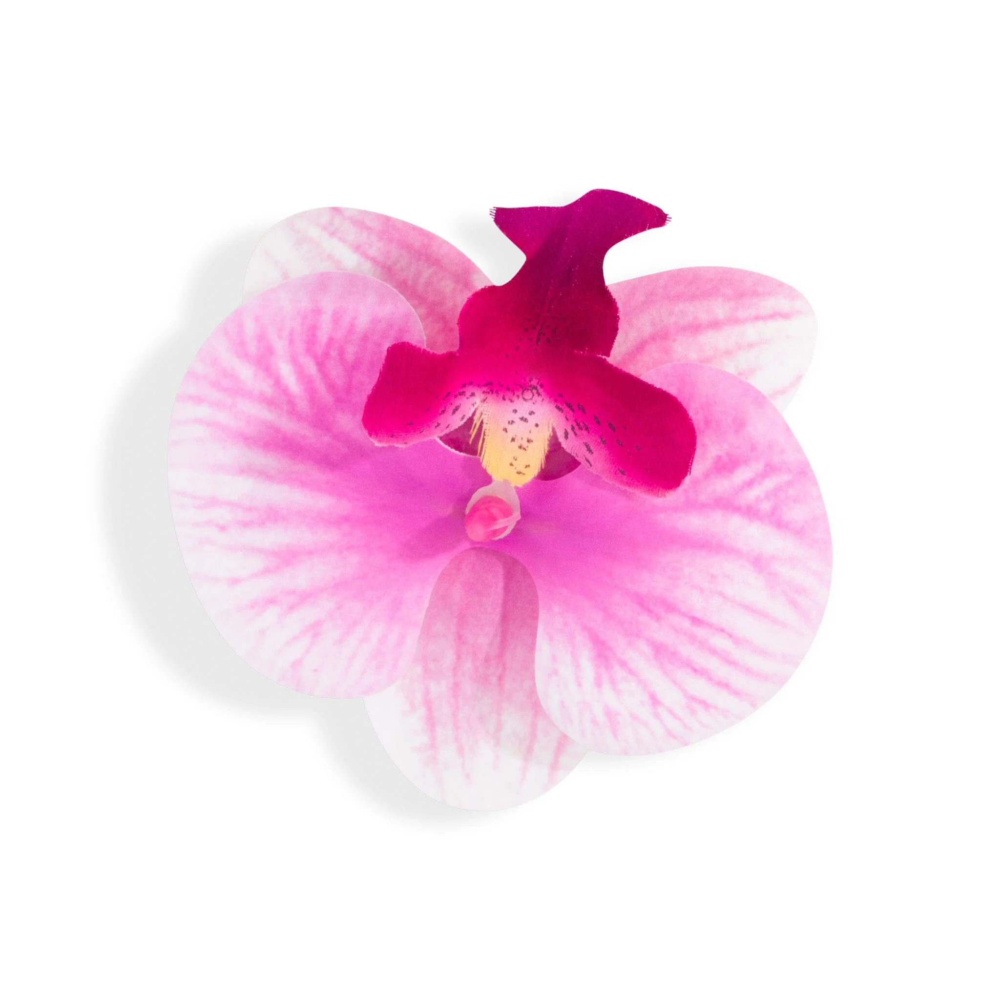 ORCHID FLOWER PINK - luluinthesky