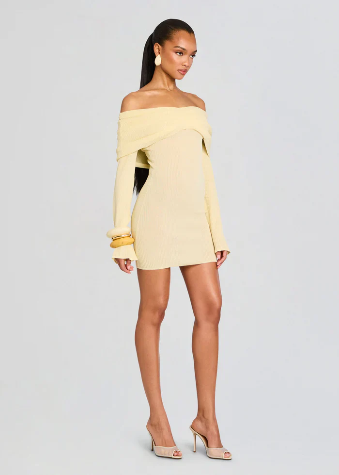 Xen Knit Mini Dress - luluinthesky