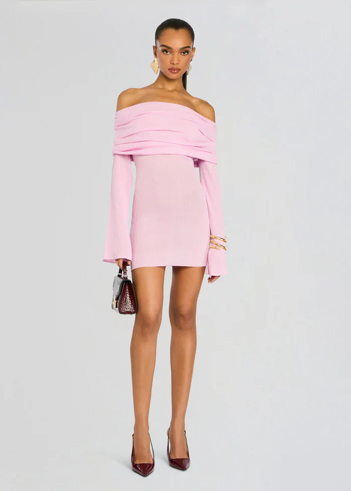 Galli Rib Knit Mini Dress - luluinthesky