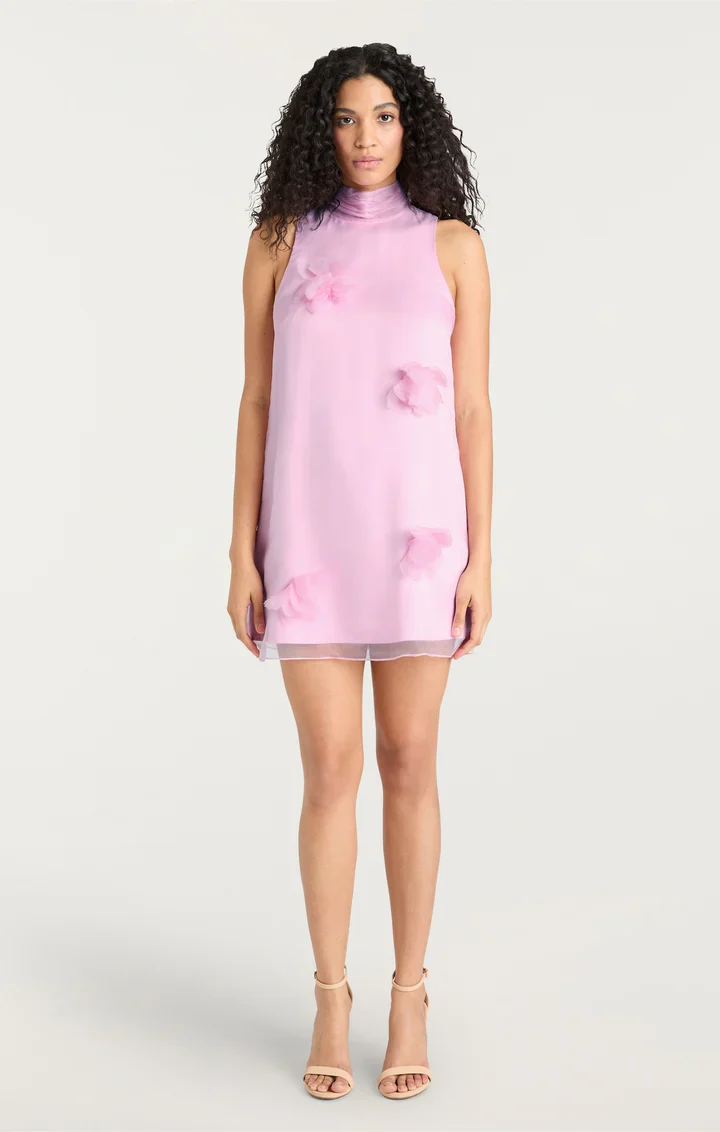 Sylvia Dress - luluinthesky