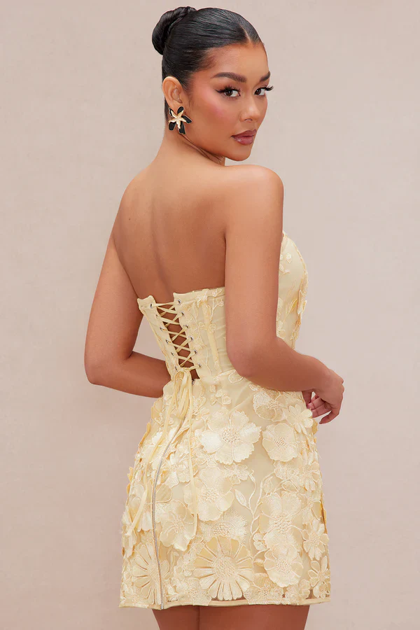 Marcella Embroidered A-Line Mini Dress - Yellow - luluinthesky