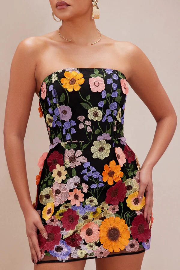 Marcella Embroidered A-Line Mini Dress - luluinthesky