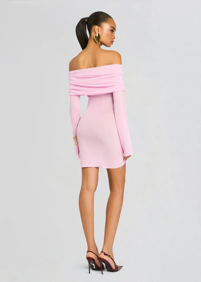 Galli Rib Knit Mini Dress - luluinthesky