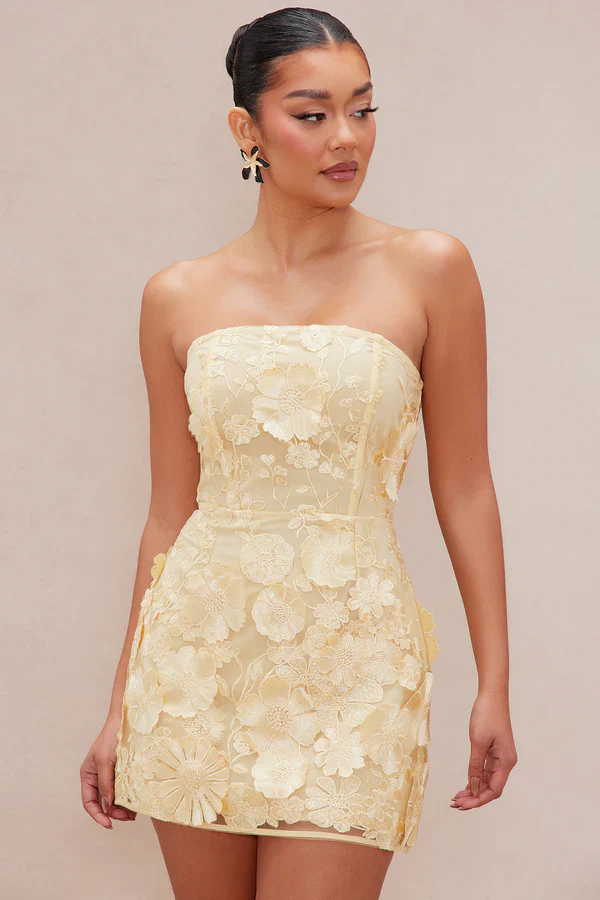 Marcella Embroidered A-Line Mini Dress - Yellow - luluinthesky