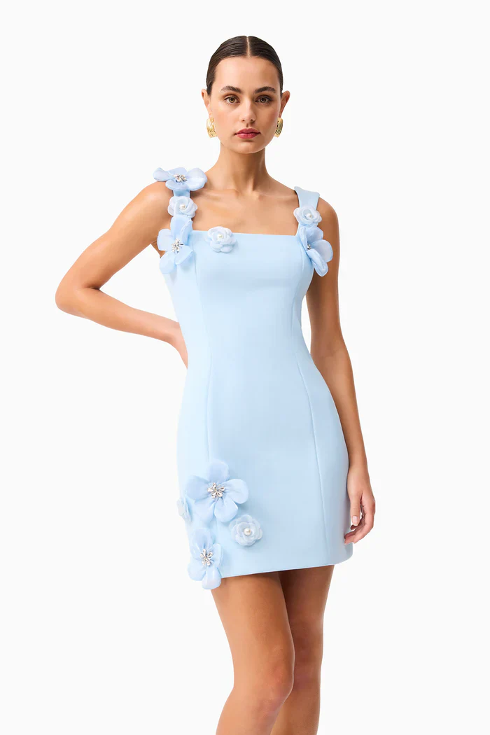Chantelle Floral Mini Dress in Blue - luluinthesky