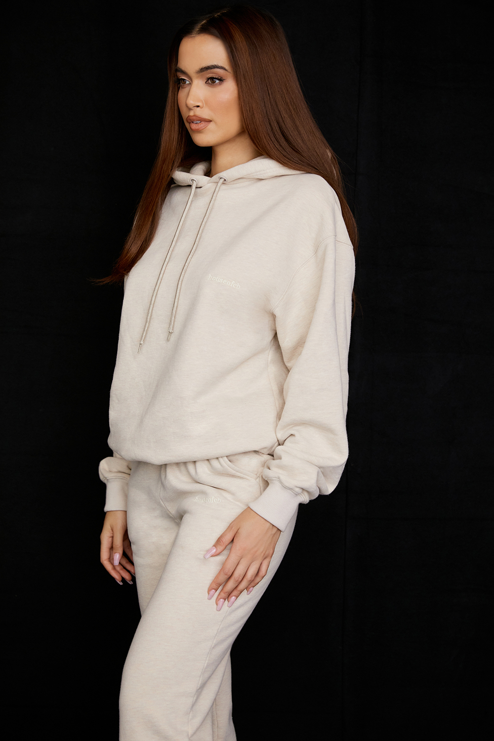 Halo Oatmeal Cotton Fleece-Back Oversized Hoodie - luluinthesky