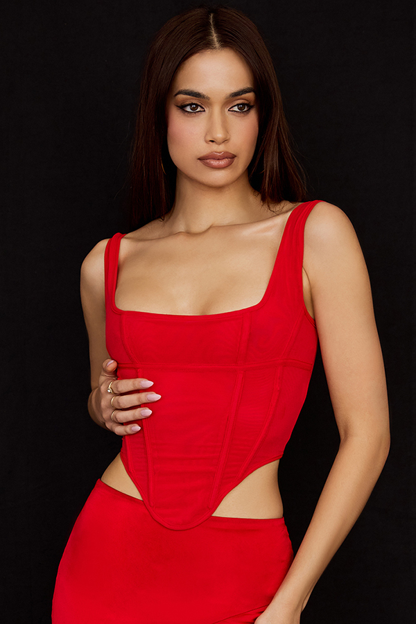 Edetta Scarlet Mesh Corset - luluinthesky