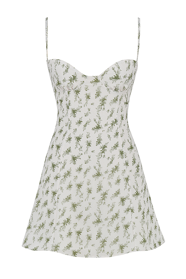 Christiana Garden Print Mini Dress - luluinthesky