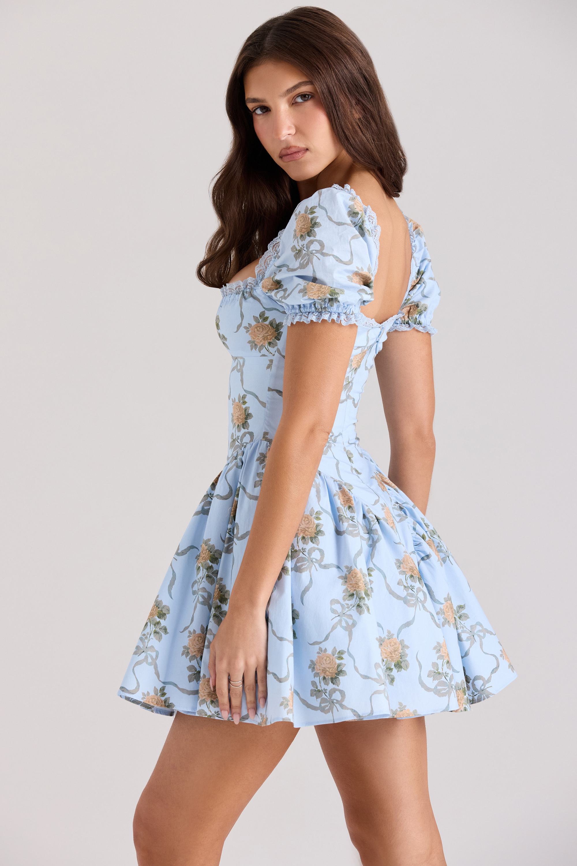 Rosie Blue Rose Print Cotton Mini Dress - luluinthesky