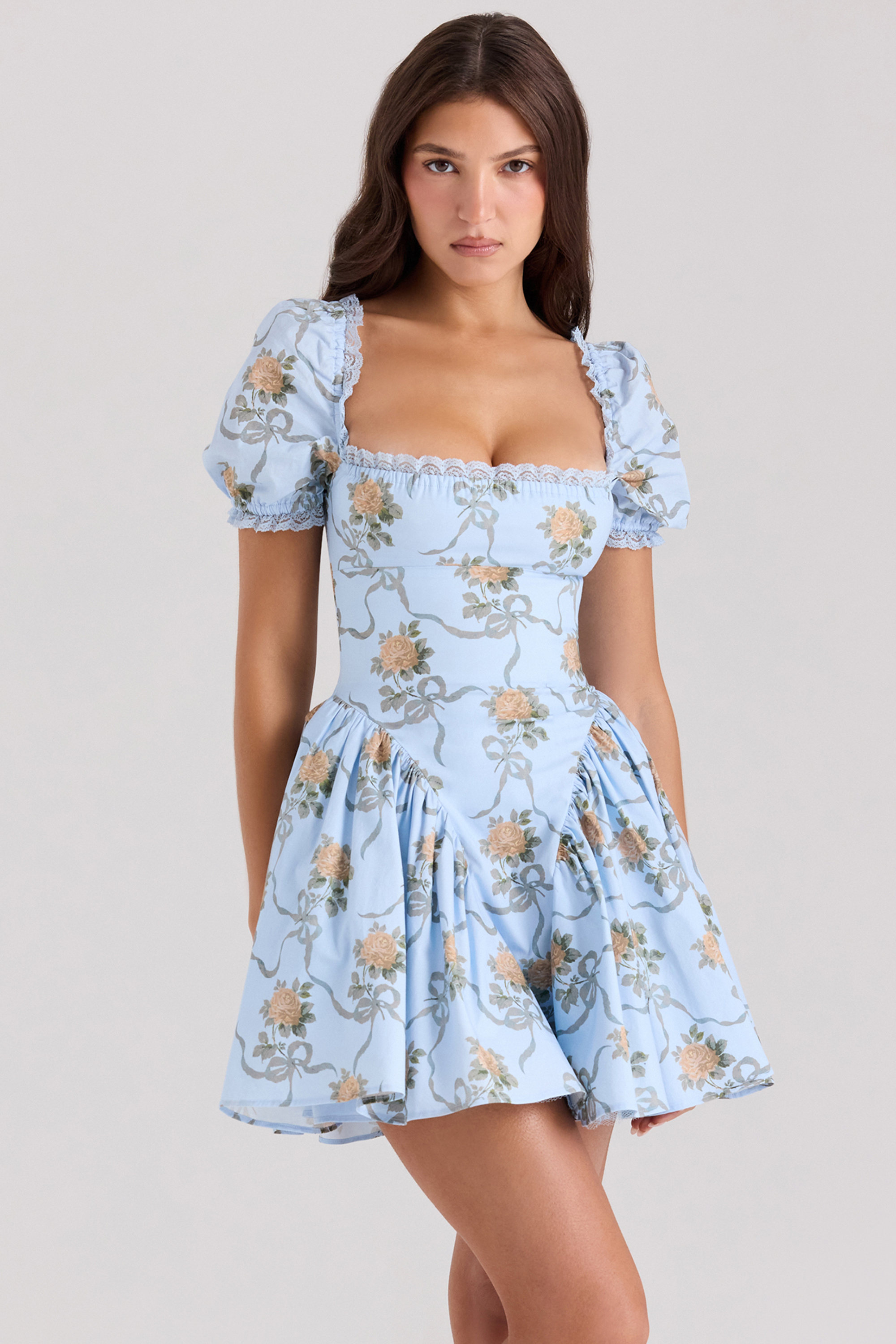 Rosie Blue Rose Print Cotton Mini Dress - luluinthesky