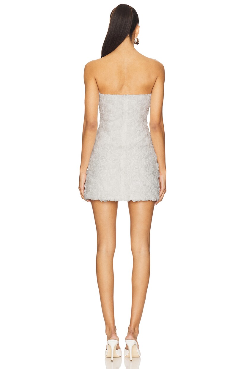 Rosaline Mini Dress - luluinthesky