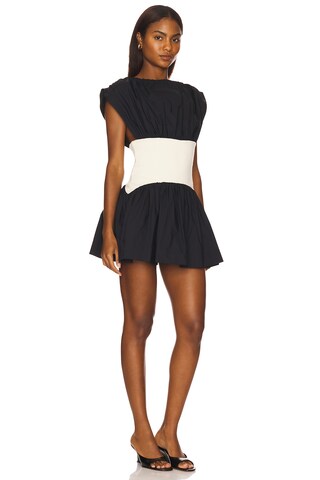 Jayden Mini Dress - luluinthesky