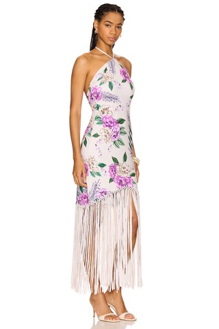 x REVOLVE Allis Midi Dress - luluinthesky