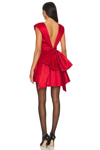 Rose Mini Dress - luluinthesky