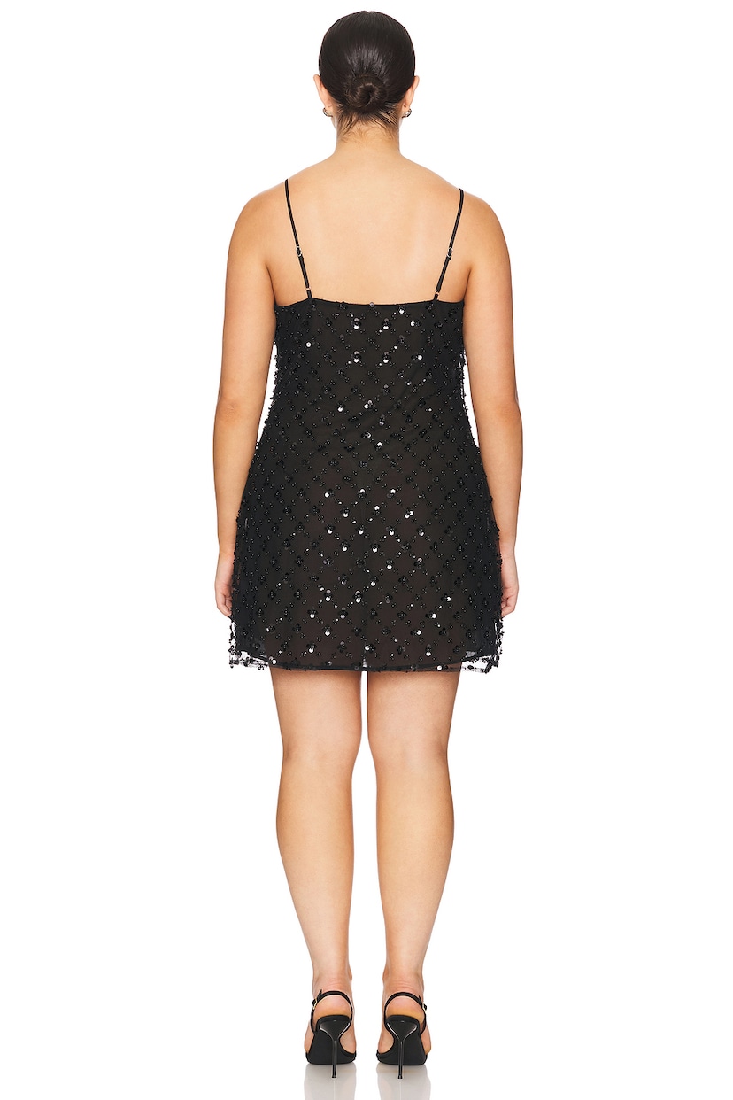 Sayge Mini Dress - luluinthesky