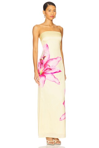 Lyza Strapless Maxi Dress - luluinthesky