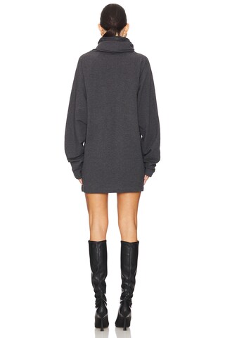 Oversized Raglan Sleeve Turtleneck Mini Dress - luluinthesky