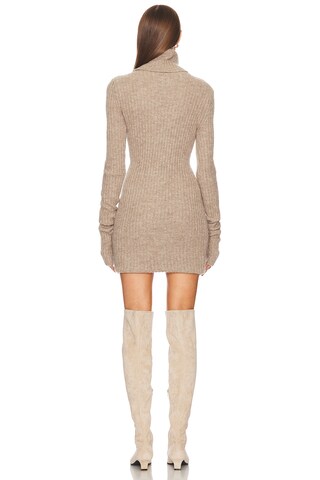 Lauren Mini Knit Dress - luluinthesky