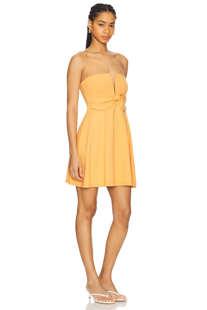 Carryover Bow V Wire Dress - luluinthesky