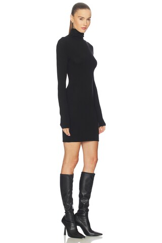 Steffi Turtleneck Mini Dress - luluinthesky