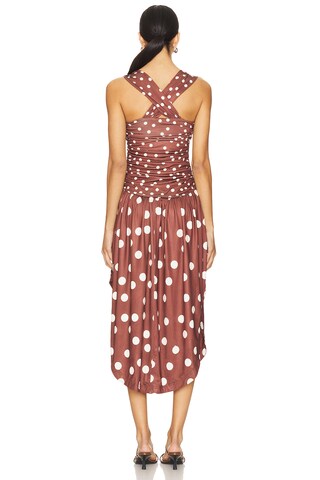 Raylon Midi Dress - luluinthesky